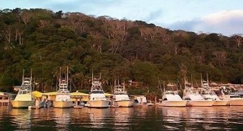 Banana Bay Marina