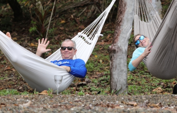 Hammocks