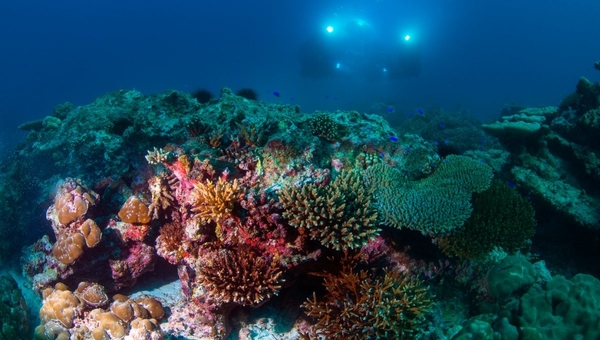 Josh sub C Explorer 3 Seychelles Diving