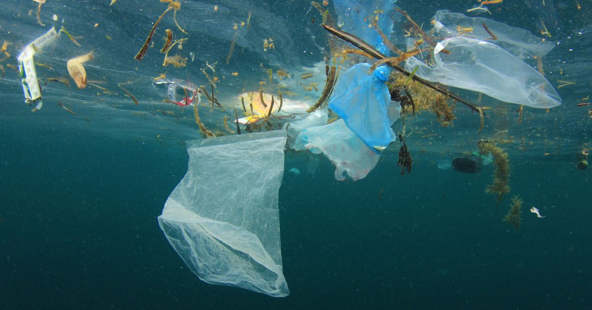 Plastic Pollution 1200x630