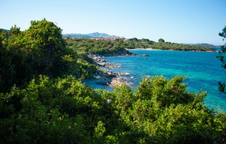 Portisco Beach