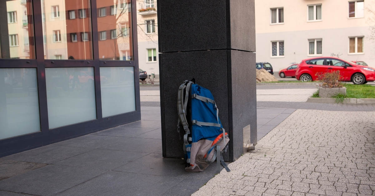 Securewest luggage 1200