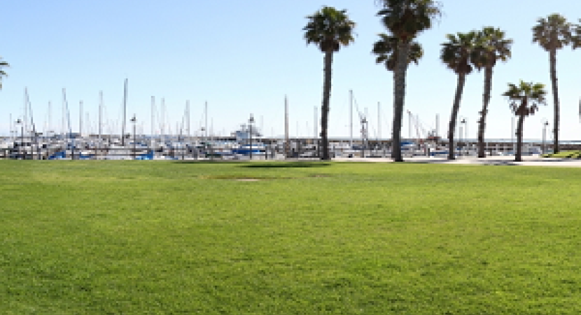 Cabrillo Marina